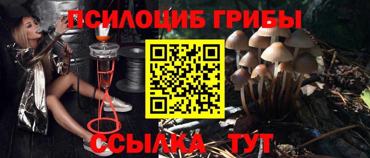 Рославль  Галлюциногенные грибы Magic Shrooms  Вход с VPN 