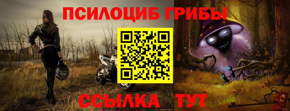Галлюциногенные грибы Psilocybe Рославль